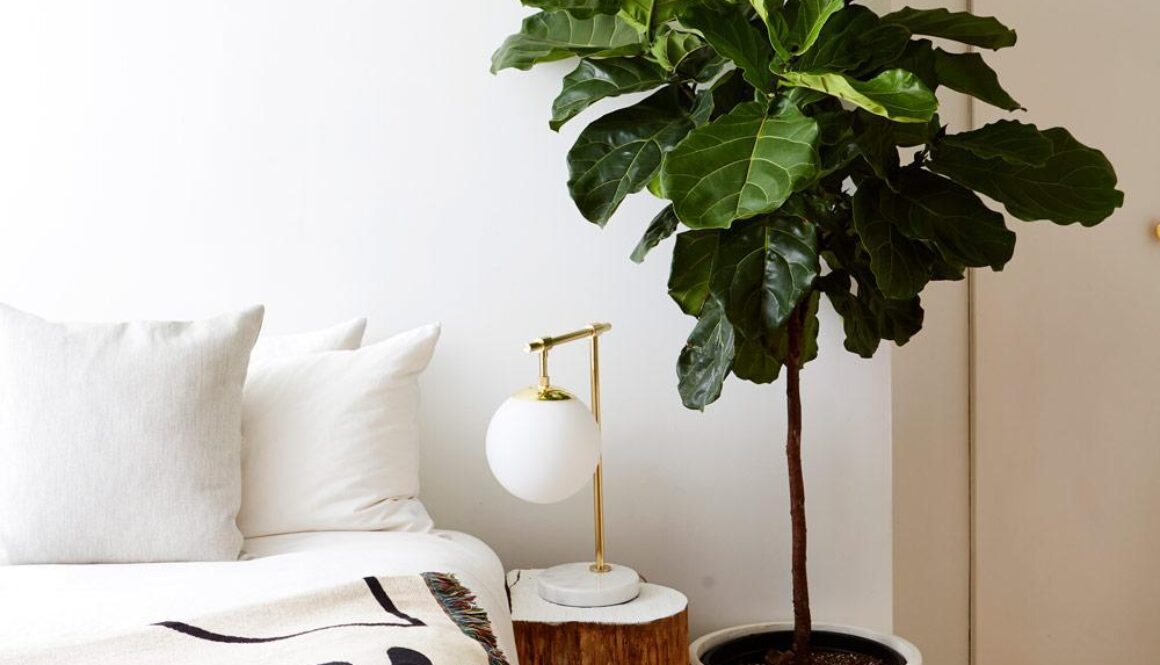 gallery_fiddle-leaf-bedroom_02b