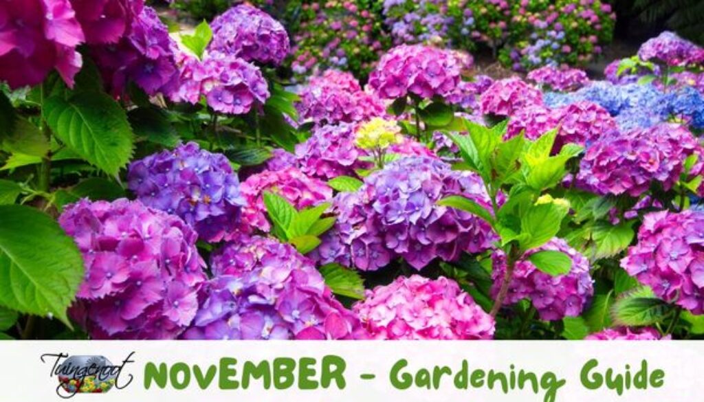 311973163_5738397779516868_2732294564604922087_n