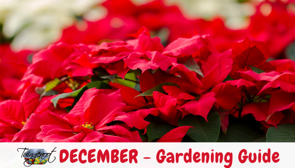 316419312_5814224891934156_2109517194577995701_n